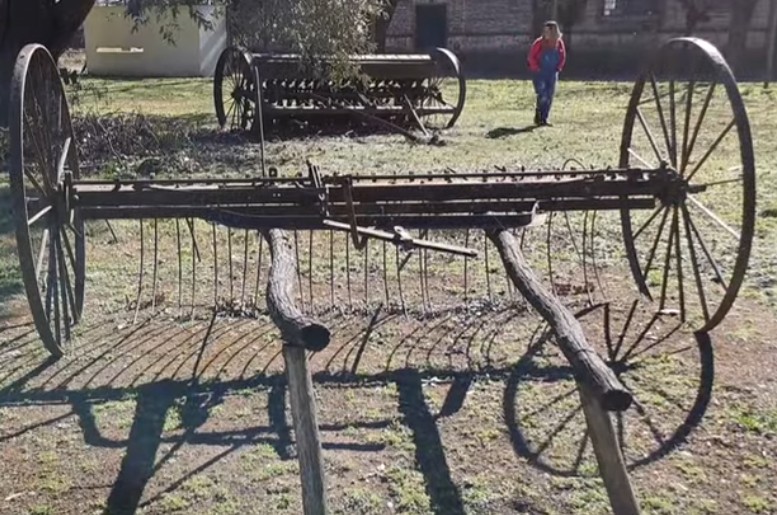 Fotograf&iacute;a 16