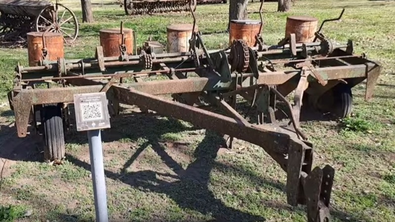 Fotograf&iacute;a 17