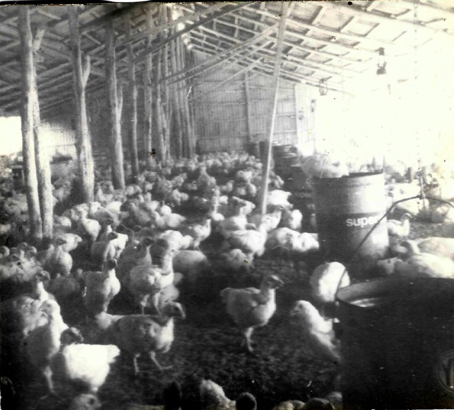 Fotograf&iacute;a
20