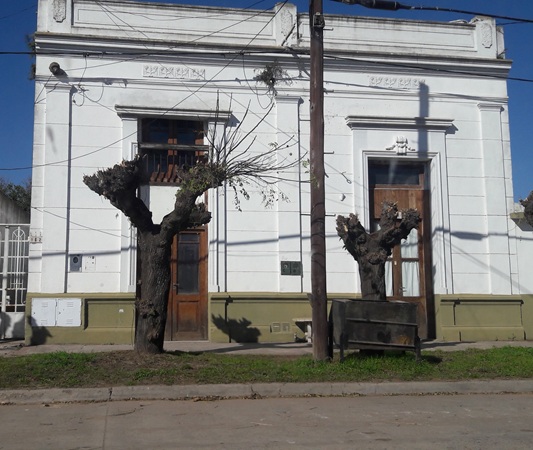 Fotograf&iacute;a 33