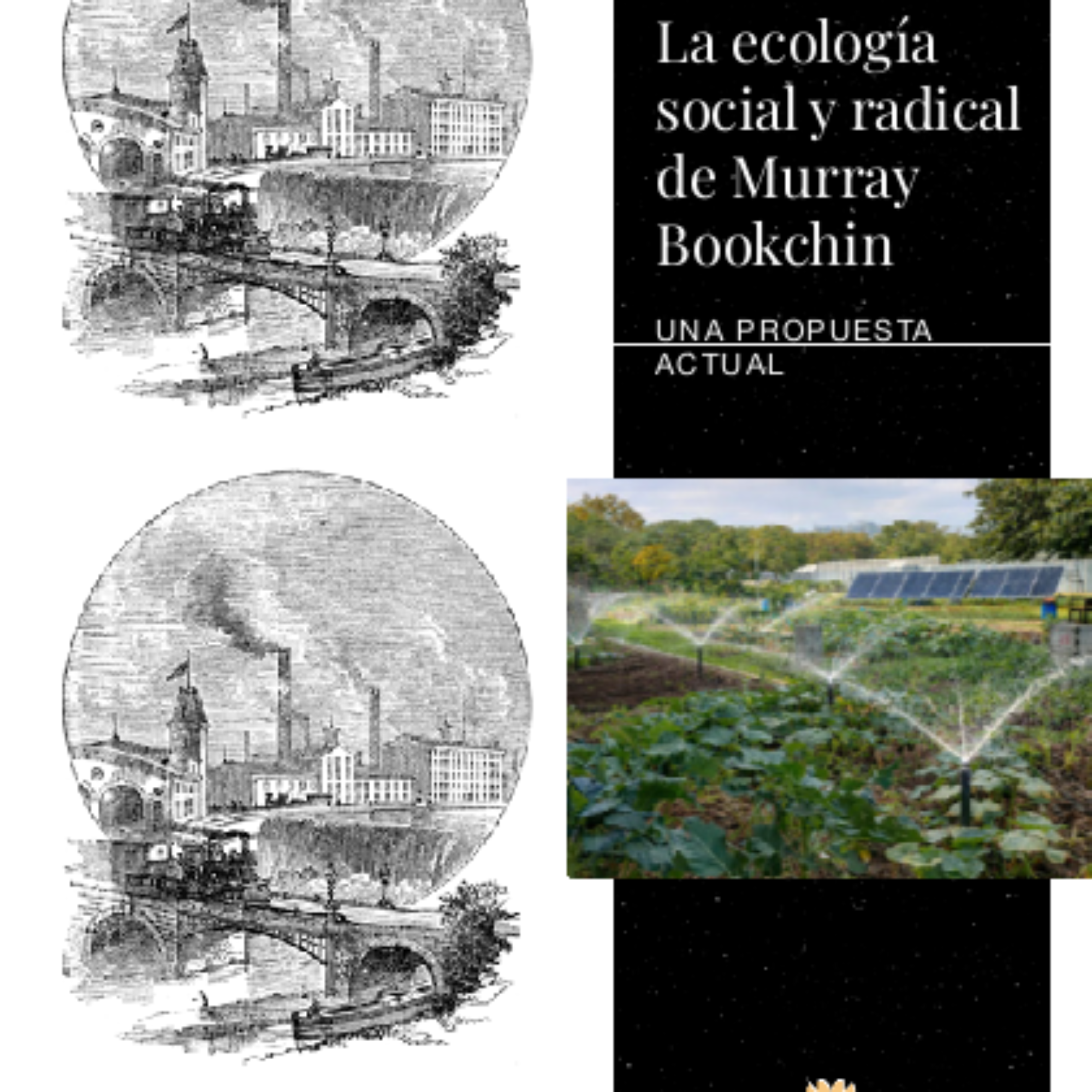 La ecología social y radical de Murray Bookchin: una propuesta actual